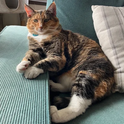 Sophie
